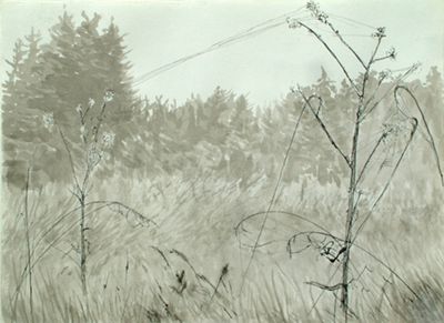 Christine Dockhorn: Feine Netze. 2016, Tuschezeichnung, 51x39 cm