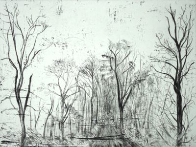Christine Dockhorn: Waldweg. 2015, Kaltnadelradierung, 24x31 cm