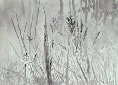 Christine Dockhorn: Zwischen den Gräsern. 2016, Tuschezeichnung, 51x39 cm
