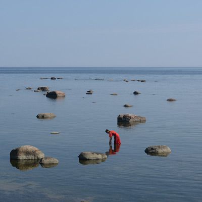 Ramona Cygan: You will never let go of me, 2014/2015