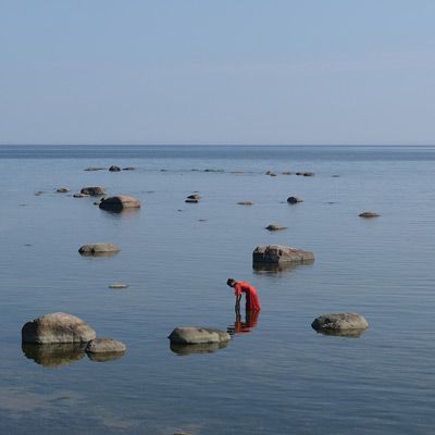 Ramona Cygan: You will never let go of me, 2014/2015