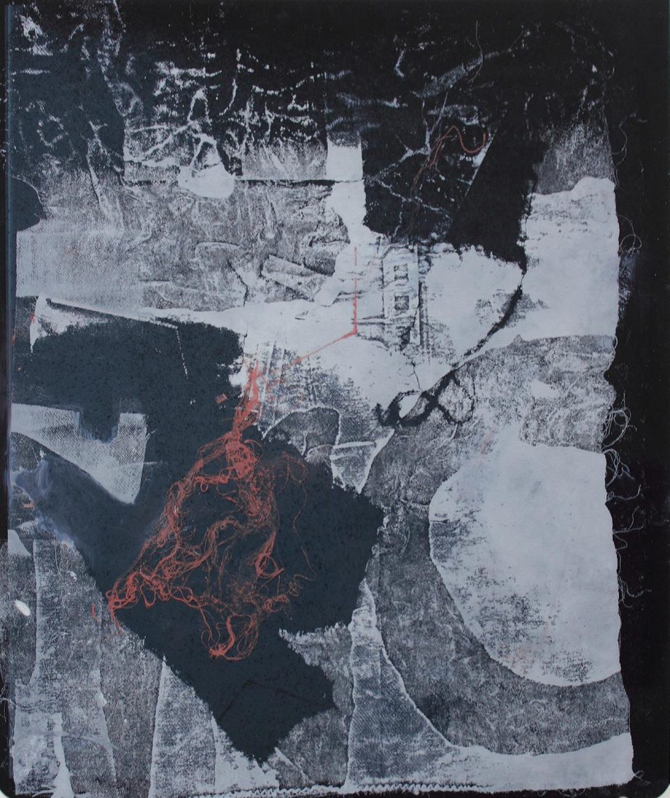 Monika Bertermann: Überflieger. 2016, Materialdruck/ Röntgenbild