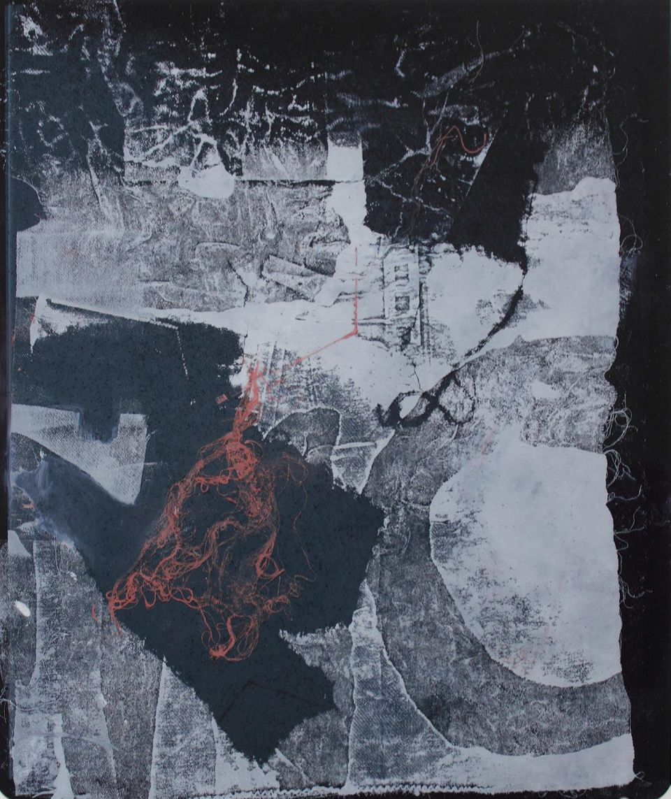 Monika Bertermann: Überflieger. 2016, Materialdruck/ Röntgenbild