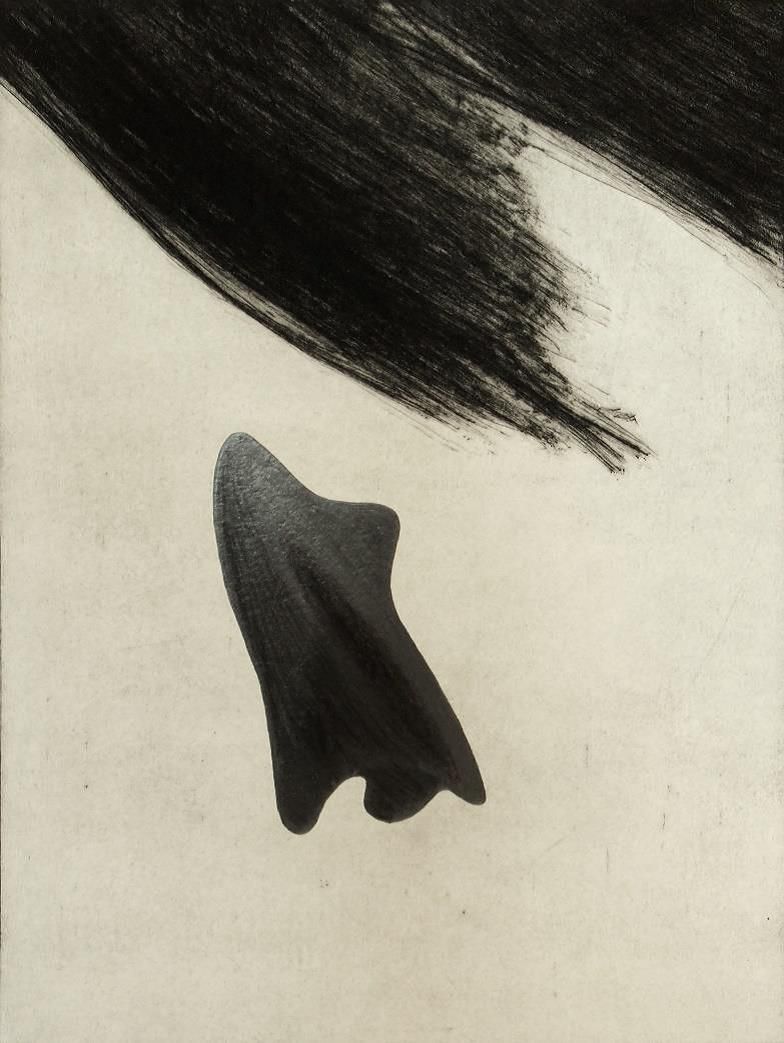 Christin Wilcken: Hinter den Bäumen 12. 2013 Buntstift/ Graphit auf Radierung