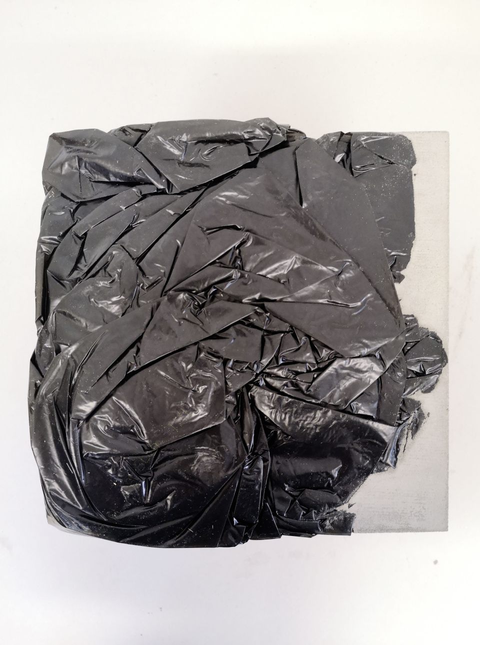 Ines Schaikowski: aus der Serie Hybride Heimat. 2020, Objekte & Modelle