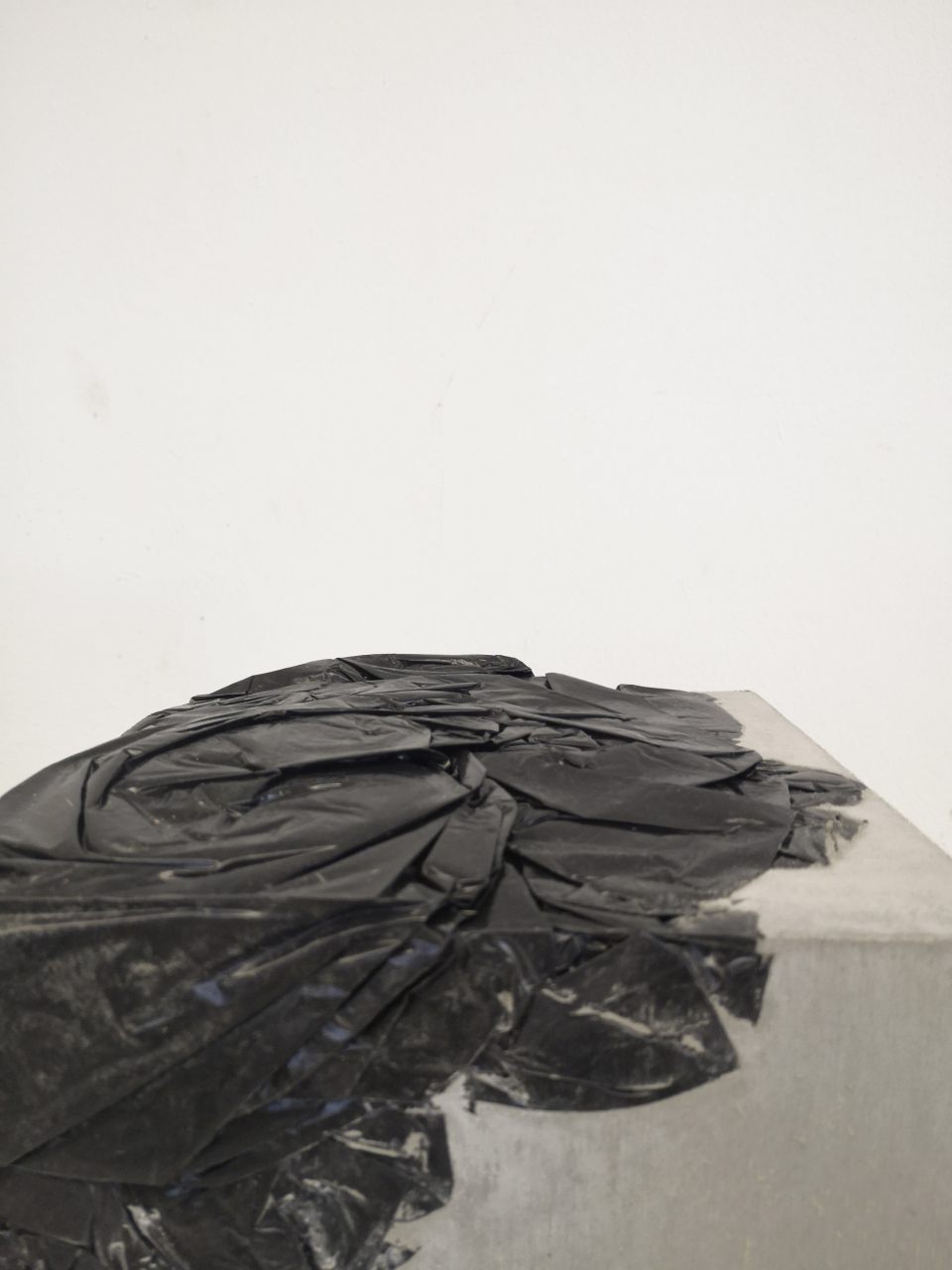 Ines Schaikowski: aus der Serie Hybride Heimat. 2020, Objekte & Modelle