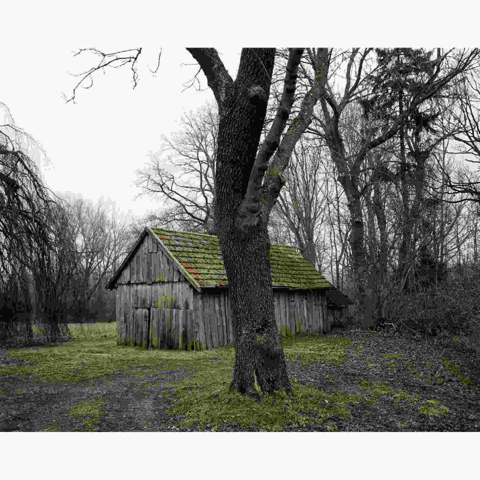 Hans-Christian Schink