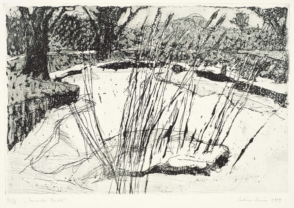 Sabine Curio | tauende Bucht | Aquatinta | 1994 | 3/9 | 19,8 x 29,7 cm