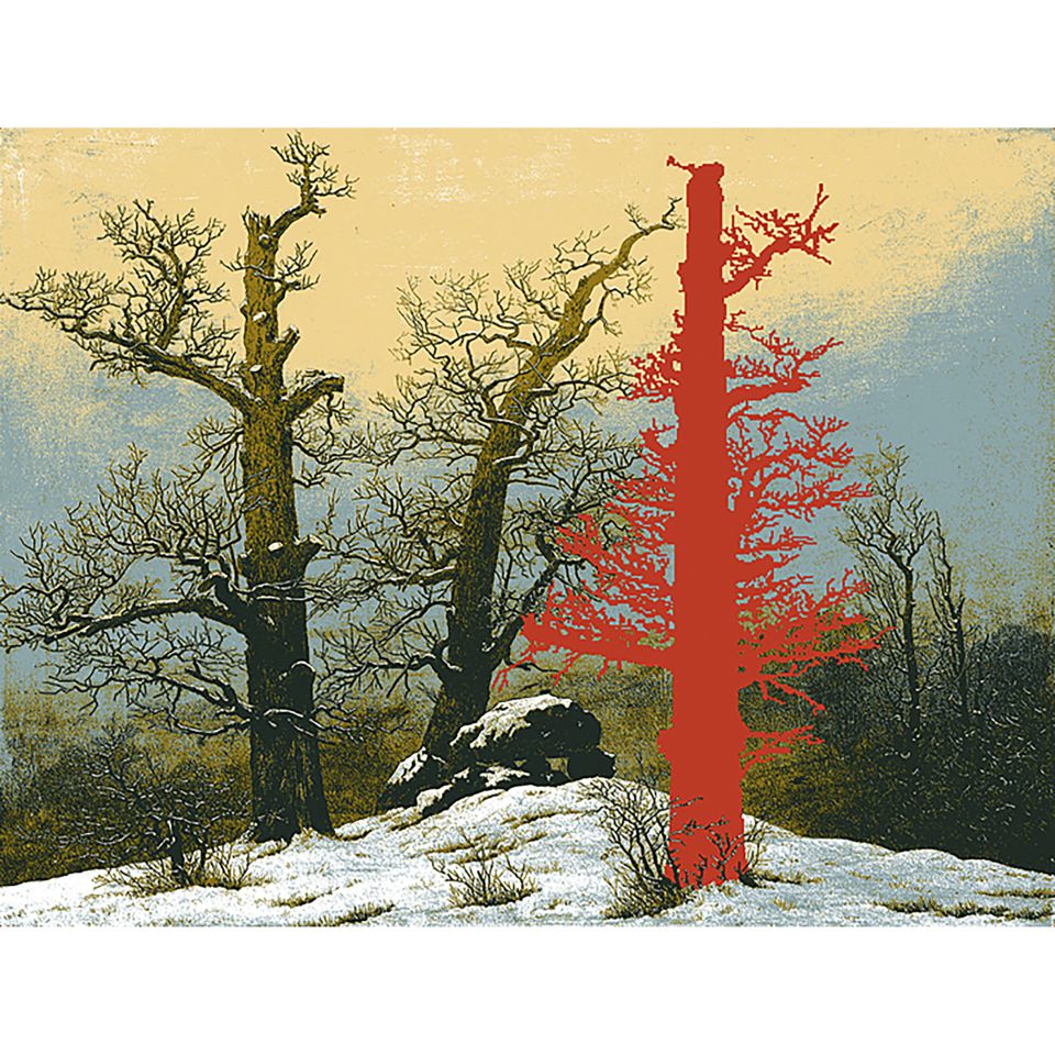 Klaus Dieter Steinberg