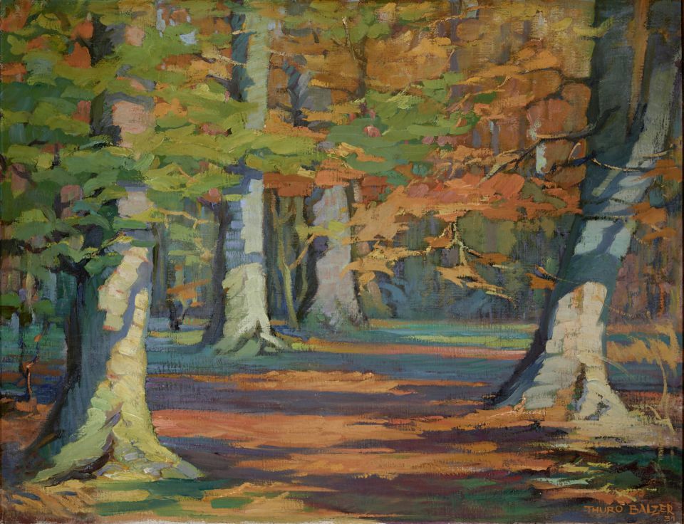 Thuro Balzer: Buchen im Herbst. Öl auf Leinwand, 1931 (Leihgabe: Erich Kurth, Rostock)