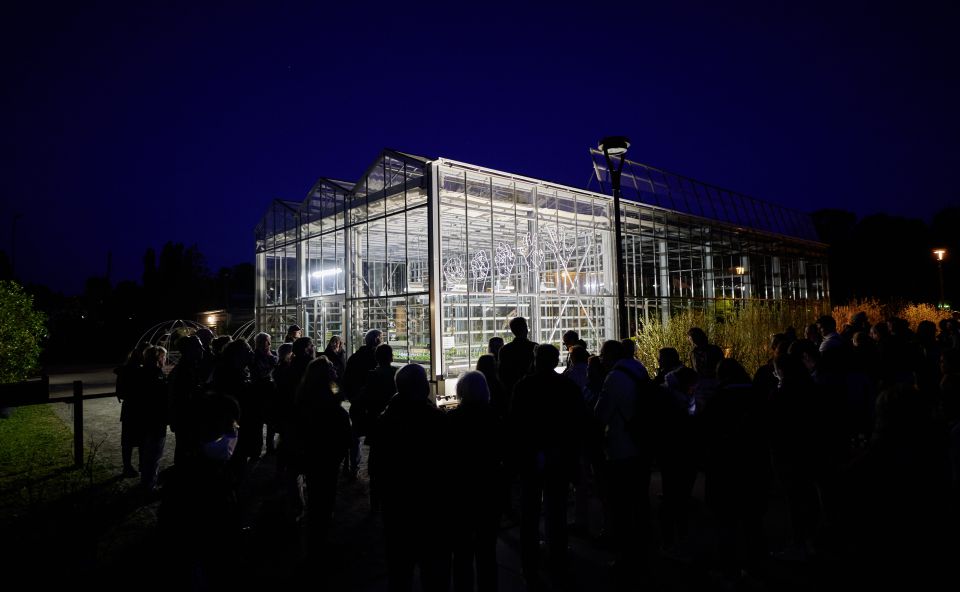 Day of Light 2022 im Botanischen Garten Rostock