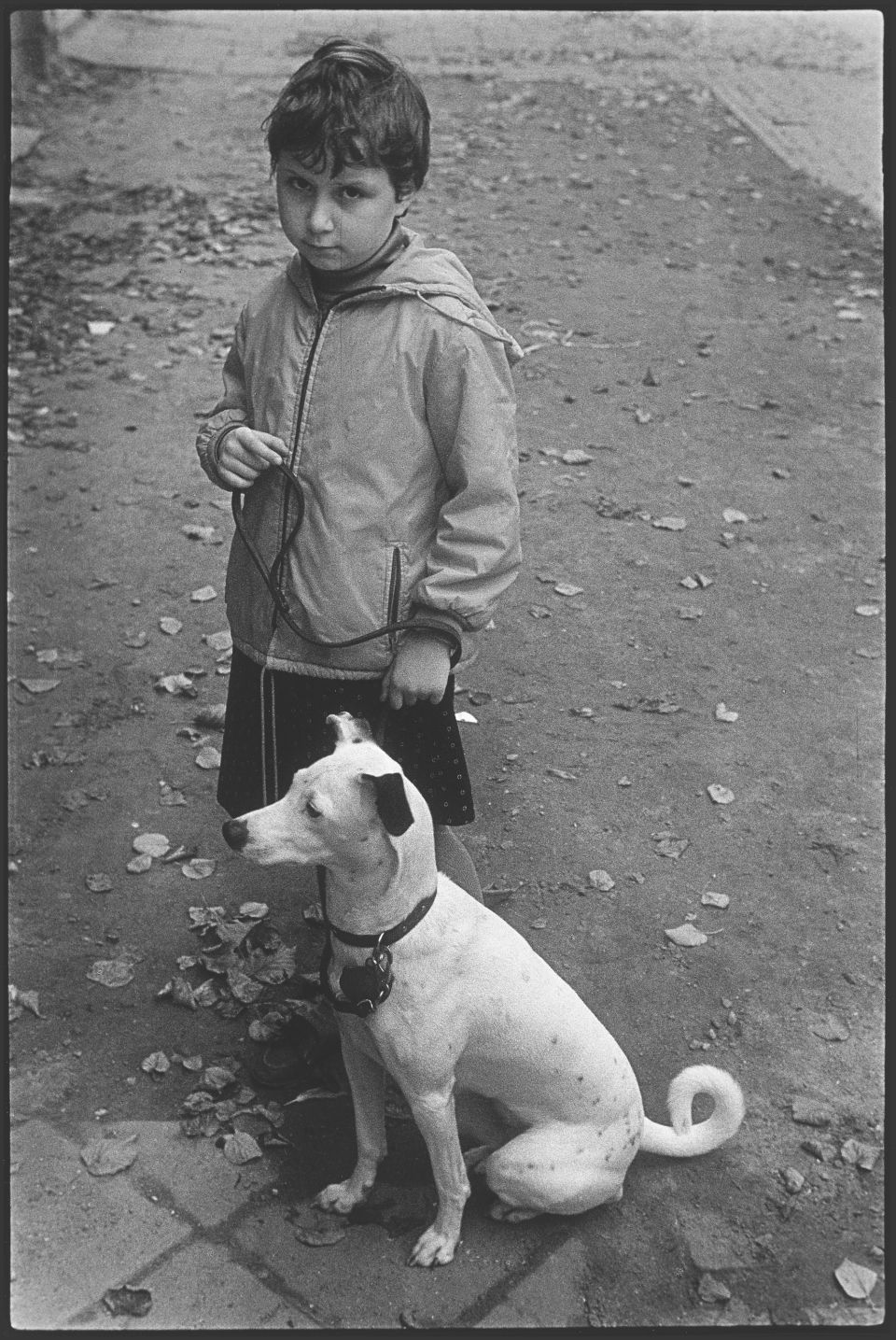 Rostock, Waldemarstraße, 30.09.1984