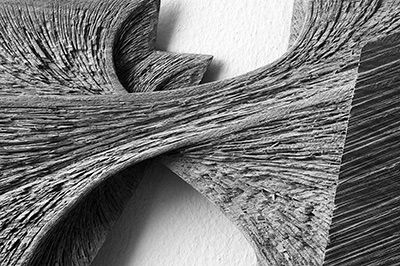 Eiche 17/07 (Detail), 2017, 58 x 31 x 5 cm