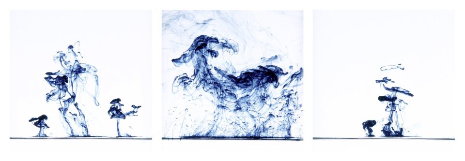 Christiane Zenkert, Waldspaziergang, Print farbig auf Hahnemühle Baryta/3-teilig, 2011, je 15x15cm (30x60cm Rahmen)