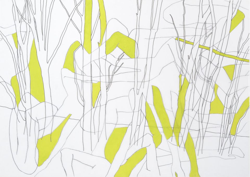 Linda Perthen, Hektar, Bleistift/Pigmenttinte und Acryl auf Transparentpapier, 2017, 42x59cm