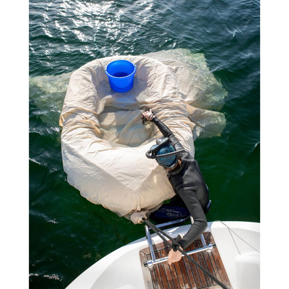 Marie Jeschke, Fluide Grenze, 2025, copyright: Juliane Eirich