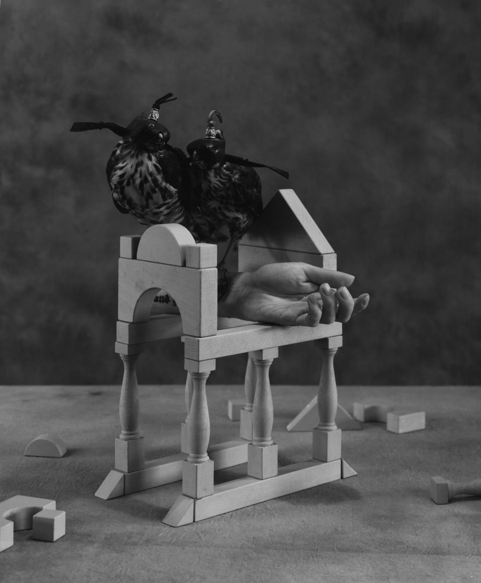 Ming Ye: Fairy Tale No.0401. 2017, Silbergelatinedruck, 60x50 cm